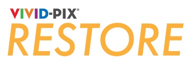 VividPix Logo